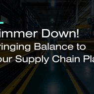 Blog graphic 'Simmer down! Bringing Balance to Your Supply Chain Plans'